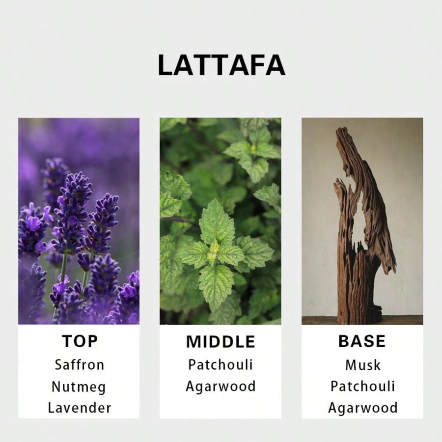 Lattafa Badee Al Oud For Glory - đánh giá và giá Perfume In Fragrance