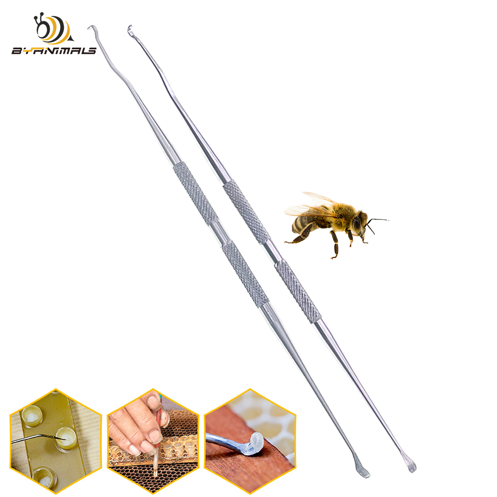 Two End Straight Stainless Ste - đánh giá và giá Perfume Queen